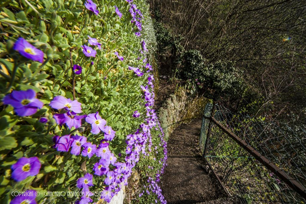 ברונאטה B&B Il Balcone Sul Lago מראה חיצוני תמונה